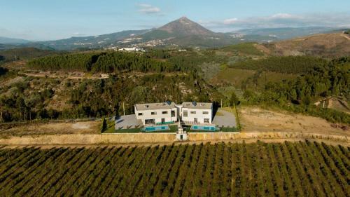 Britelo House | Casa dos Mirtilos Duke T8