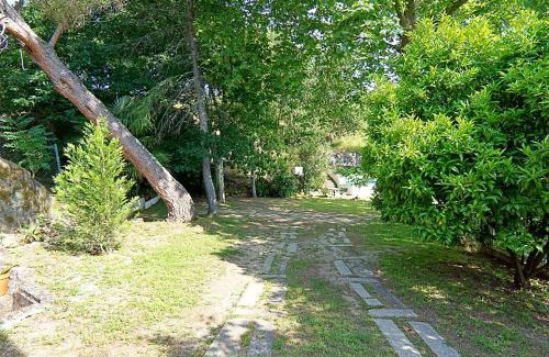 Amarante Ski Chalet | Casa dos Plátanos near the center of Amarante, Golf Course and Water Park.