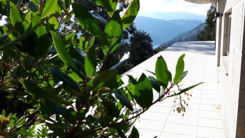 Ancede House | Casa Douro Terrace