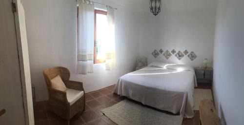 Eden Beach House | Casa Eden beach