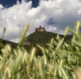 Perarrua House | Casa el Pelaire