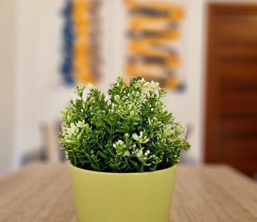 L'Aquila Apartment | Casa Elena by TraMonti Apartments