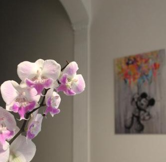 Nonantola Bed & Breakfast | Casa Elvira