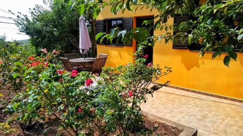 Las Hayas House | Casa Fátima Valle Gran Rey