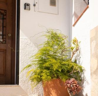 Altea Apartment | Casa Familiar Don Algodon con Vistas al Mar