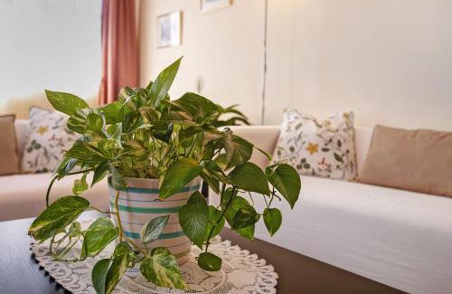 Candelaria House | Casa Fefa