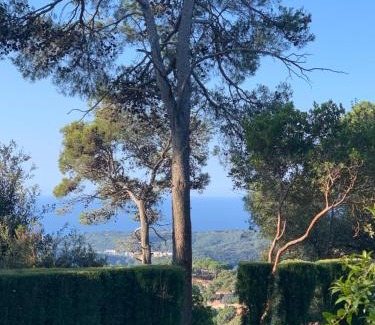 Sant Cebria de Vallalta House | Casa Feliz
