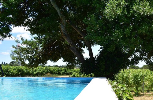 Palmela House | Casa Fernão Pires