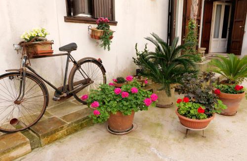 Centro Storico Apartment | CASA FIORE