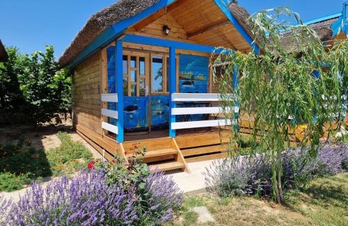 Mahmudia House | Casa Flavia