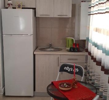 Curtea De Arges Apartment | Casa Florilor