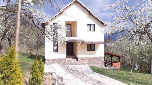 Moisei House | Casa Fluțar