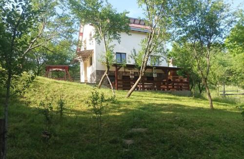 Moisei House | Casa Fluțar