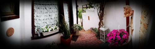 Old Town House | Casa Fotografului