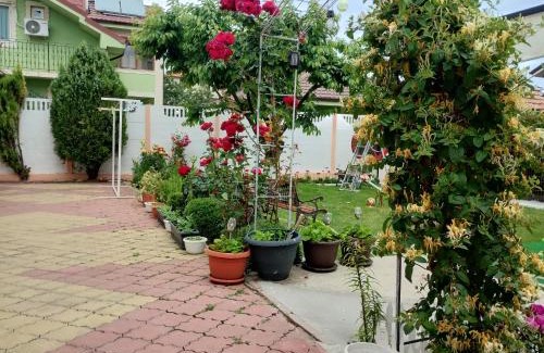 2 Mai House | Casa Georgeta 2 Mai-Punct Gastronomic Local-AROME DOBROGENE