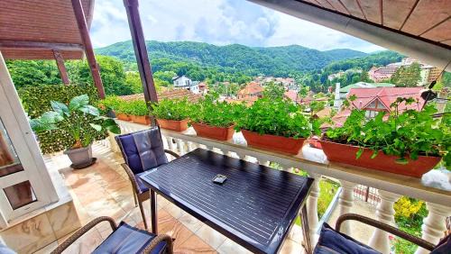 Baile Olanesti House | Casa Giulia