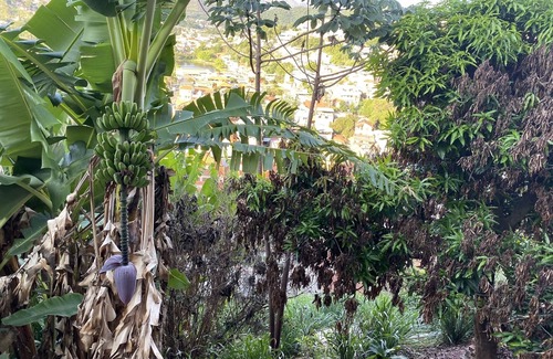 Sabara House | Casa grande, toda mobiliada e muito confortável em Sabará