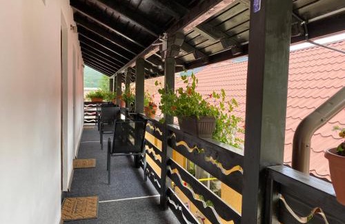 Lupeni Bed & Breakfast | CASA GRETA