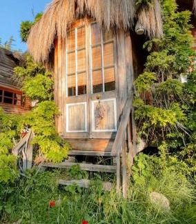 Guanguali Cabin | Casa Guanguali