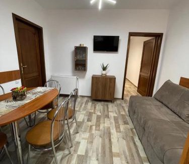 Busteni House | Casa Iancu