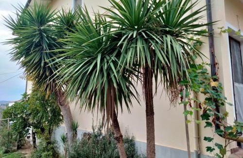 Tortoreto Bed & Breakfast | Casa il Canto