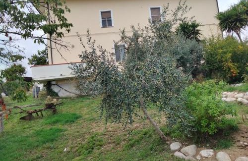 Tortoreto Bed & Breakfast | Casa il Canto