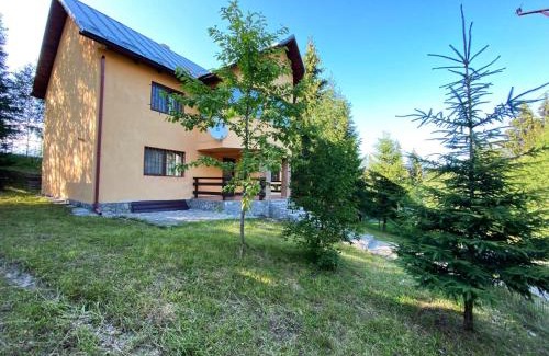 Fundata Villa | Casa Ionel si Dani
