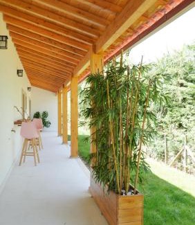 Casal do Abegao Apartment | Casa Jasmim, Quinta Carmo - Alcobaça/Nazaré