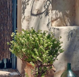 Canyelles House | Casa Jasmin at Masia Nur Sitges, Adults only
