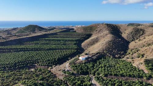 Velez-Malaga House | Casa La Dehesa