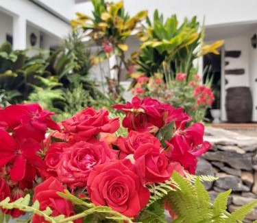 Agulo House | Casa la plaza
