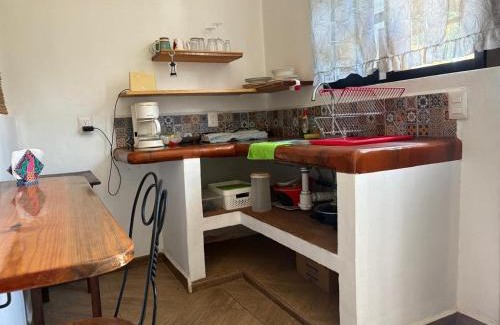 Los Tamarindos House | Casa Landa Jardín