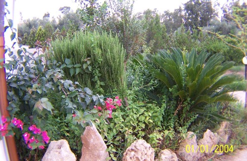 Sa Segada House | Casa le Ginestre
