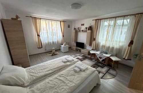 Sighisoara House | Casa Lenu & Lian