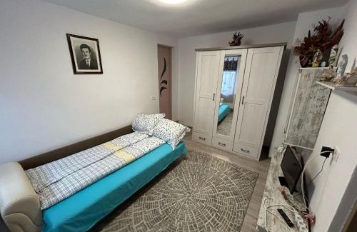 Sighisoara House | Casa Lenu & Lian