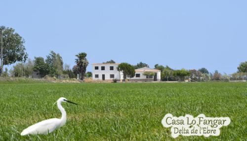 Deltebre Apartment | Casa Lo Fangar - Delta de l'Ebre - 4 dobles 2 lliteres