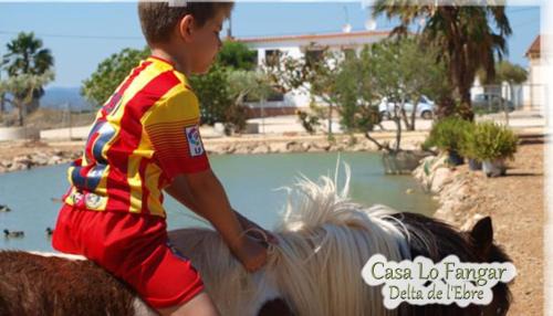 Deltebre Apartment | Casa Lo Fangar - Delta de l'Ebre - 4 dobles 2 lliteres