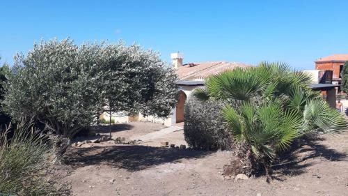 Punta De Su Turrione Villa | Casa Logos Stintino - Private pool