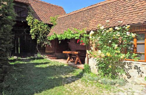Saliste House | Casa Lopo