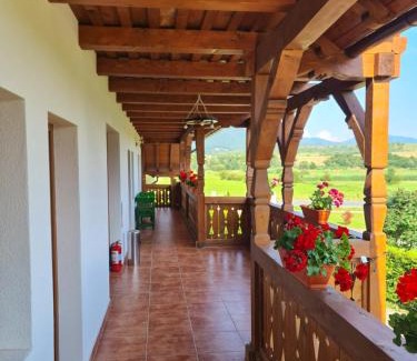 Vadu Izei House | Casa Loredana