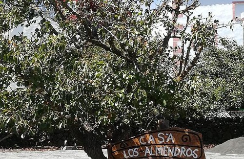 Isora House | Casa Los Almendros