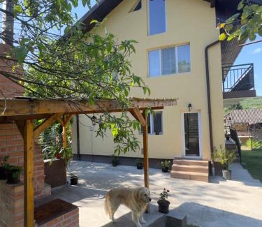 Gura Suhasului House | Casa Lucia
