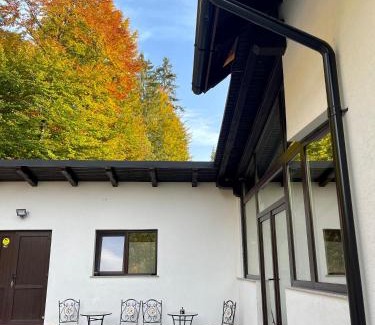 Putna House | Casa Mălina Putna