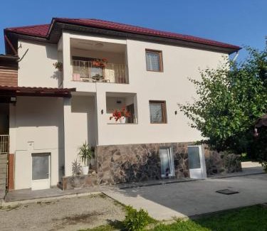 Viseu de Sus House | Casa M&M