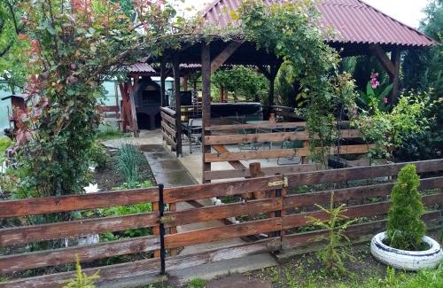 Sapinta House | Casa Madalina