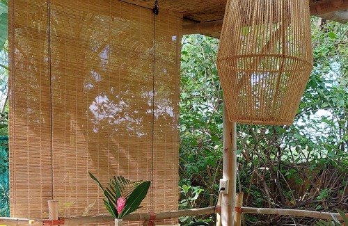Tamarindo House | CASA MAPACHE