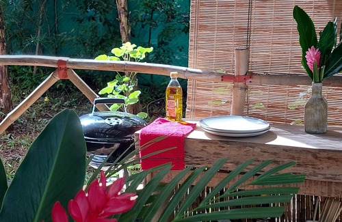 Tamarindo House | CASA MAPACHE