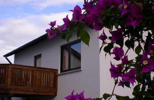 Ehrenberg House | Casa-Maria