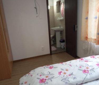 Curtea De Arges House | Casa Maria