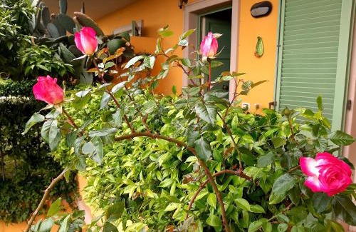 Massa Bed & Breakfast | Casa Marta
